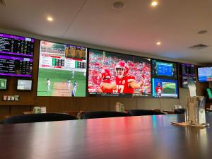 TV a/nebo společenská místnost v ubytování Meadowbrook Hotel Brisbane
