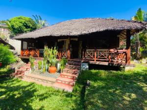 una piccola capanna con tetto di paglia e scala di Tamarin Lodge ad Ampangorinana Altre 62 foto