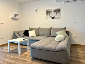 sala de estar con sofá y mesa en Apartment ZEN, en Zgornje Škofije