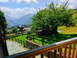 Príroda v okolí apartmánu