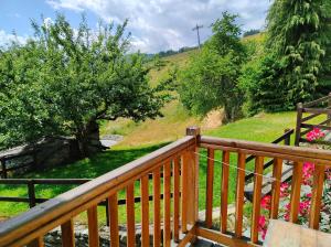 Príroda v okolí apartmánu