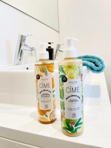 two bottles of cleaning products sitting on a bathroom sink at Jacob’s Getaway in Ghent