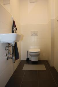 un bagno con lavandino e WC di Felseck Zimmer a Innsbruck
