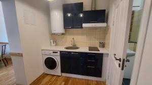 a kitchen with a sink and a washing machine at Jungas nams in Liepāja