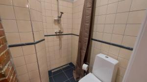 a bathroom with a toilet and a shower at Jungas nams in Liepāja