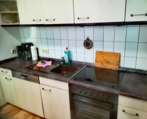 Een keuken of kitchenette bij Ferienwohnung Axel - nahe Chemnitz
