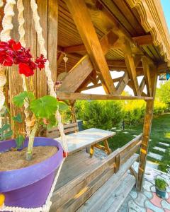 a flower pot hanging from a wooden gazebo at Nur Konak daire 3 in Çanakkale
