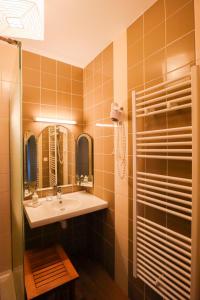 La salle de bains est pourvue d'un lavabo, d'un miroir et d'une douche. dans l'établissement Le Grand Presbytère de Beaulieu, à Beaulieu-lès-Loches