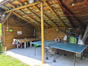 Instalaciones para jugar al ping pong en Pensiunea Constanta o alrededores