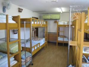 札幌市にあるバックパッカーズイノーズプレイスの複数の二段ベッドが備わるドミトリールームです。