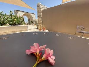 a pink flower sitting on top of a driveway at Mastro Vanni - Urban Masseria in Ragusa