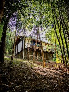 a house in the middle of a forest of trees at Vila Cosmica in Lagoinha