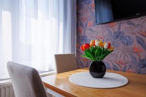 TV a/nebo společenská místnost v ubytování Apartmani Nina