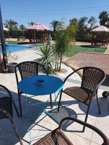 Fotografie z fotogalerie ubytování casadelfenix v destinaci Alicante