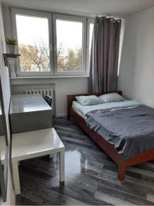 a bedroom with a bed and a desk and two windows at Blue River - Niedzwiedzia in Wrocław