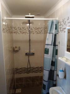 a shower with a shower curtain in a bathroom at Ubytování U Sviráků in Srbská Kamenice