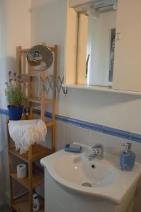 bagno con lavandino e specchio di Casa del Tempo, apt+giardino CITRA 010054-LT-0417 a Santa Margherita Ligure