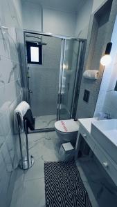 a bathroom with a shower and a toilet and a sink at Thalistris Room in Nydri