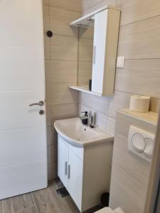 a bathroom with a sink and a mirror at Apartman Zlatan in Sveta Nedelja