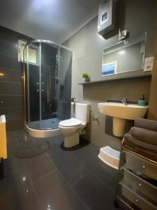 a bathroom with a shower and a toilet and a sink at APARTAMENT FAMILIJNY KRYNICA MORSKA - 10 osób 2 poziomy 2 łazienki kuchnia in Krynica Morska