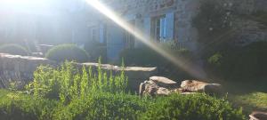 Przyroda w pobliżu tego obiektu B&B