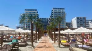 a beach with chairs and umbrellas and palm trees at SeaView Deluxe Double Studio - Beachfront Resort in Mamaia Nord