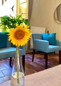 un vaso con un fiore giallo seduto su un tavolo di Apartment Albert a Carcassonne