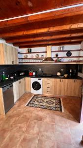 a kitchen with a stove and a dishwasher at Mojo Beach in Budeasa Mare
