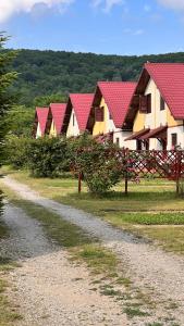 eine Reihe von Häusern mit roten Dächern auf einer unbefestigten Straße in der Unterkunft Mojo Beach in Budeasa Mare