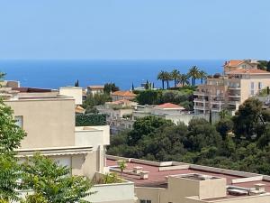 widok na miasto z budynkami i ocean w obiekcie appartement Nice ,terrasse ,mer w Nicei