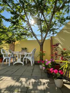 Zahrada ubytování Guest House Kobuleti