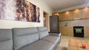 Kuchnia lub aneks kuchenny w obiekcie Elena apartment chalkidiki