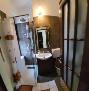 La salle de bains est pourvue d'un lavabo, de toilettes et d'un miroir. dans l'établissement Montana, à Suceviţa
