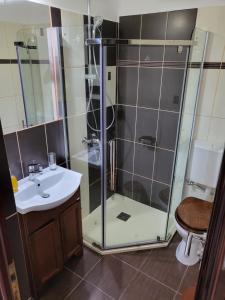 een badkamer met een douche, een wastafel en een toilet bij Montana in Suceviţa