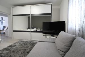 Televízia a/alebo spoločenská miestnosť v ubytovaní Apartment Matijas, 3 bedroom apt with terrace and PARKING