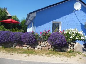 un edificio azul con flores delante en Haus Lavendel, en Lancken