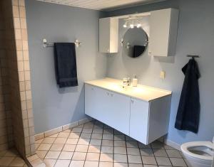 een badkamer met een wastafel, een spiegel en een toilet bij Sommerhus på Mors in Øster Assels