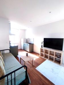 TV a/nebo společenská místnost v ubytování Appartement hyper centre de Montargis