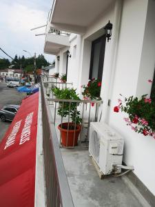 a balcony of a building with a heater and flowers at Pensiunea Mikelis International in Curtea de Argeş