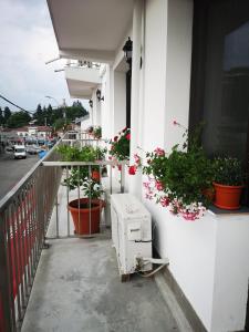 a balcony with potted plants on the side of a building at Pensiunea Mikelis International in Curtea de Argeş