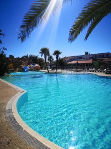 a swimming pool with blue water and palm trees at Camping 4 etoiles Cap Soleil Oleron in La Bétaudière