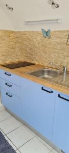 a kitchen with a sink and a butterfly on the wall at apartman Lucija in Punat +45 photos