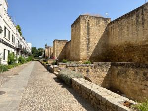 Fotografie z fotogalerie ubytování Apartamento Los Patios v destinaci Córdoba