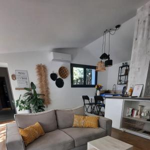 Saint-DidierGîte des Bartavelles的带沙发的客厅和厨房 更多25张照片