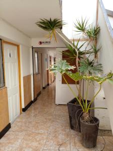 Fotografie z fotogalerie ubytování HOSTAL SOL ATACAMA -CALDERA v destinaci Caldera