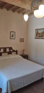 卡斯蒂利翁切洛Agriturismo Podere Gianmaria的相册照片