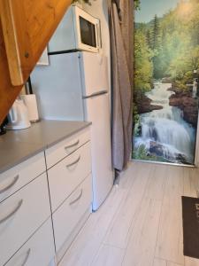 eine Küche mit einem Wasserfall-Wandbild in der Unterkunft L'imperator in Saint-Mamet