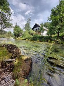 un río con una casa en el fondo en The RiverSide Chill Hostel, en Zgornje Gorje