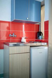 Kuchyň nebo kuchyňský kout v ubytování Studio apartmani Rafailovici