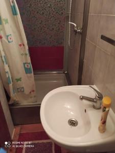 y baño con lavabo y ducha. en Penzion u Lípy, en Děčín